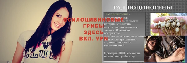 ешки Нефтегорск