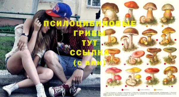 герыч Нефтекумск