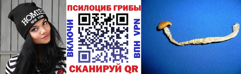 Псилоцибиновые грибы Magic Shrooms  Купить где  Апатиты 